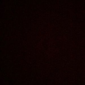 Meet your Posher, Molly